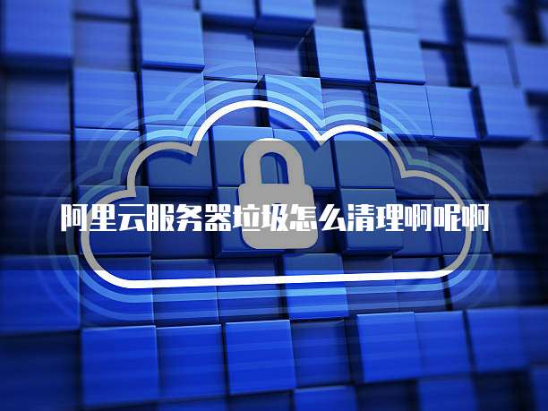 阿里云服务器垃圾怎么清理啊呢啊