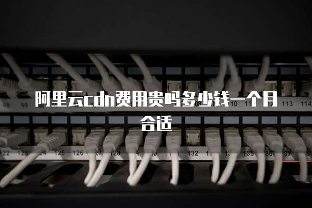 阿里云cdn费用贵吗多少钱一个月合适