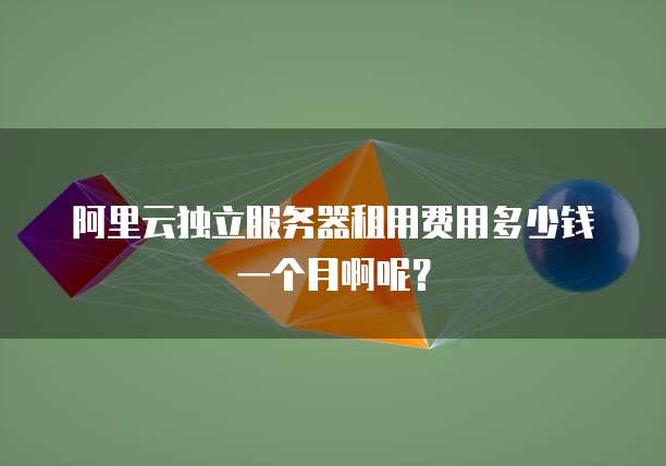 阿里云独立服务器租用费用多少钱一个月啊呢?