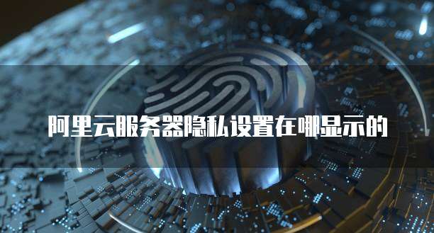 阿里云服务器隐私设置在哪显示的