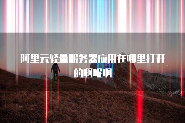 阿里云轻量服务器应用在哪里打开的啊呢啊