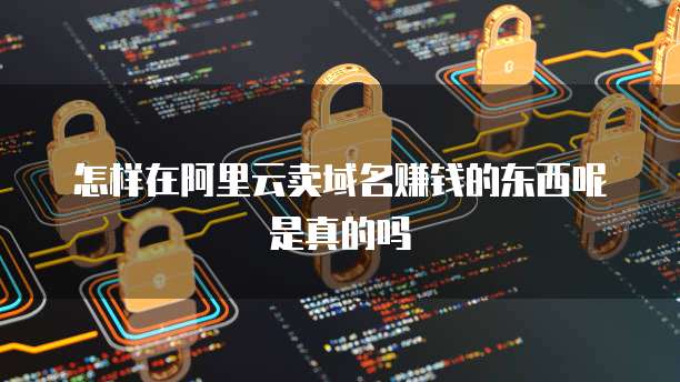 怎样在阿里云卖域名赚钱的东西呢是真的吗