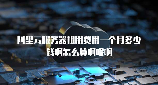 阿里云服务器租用费用一个月多少钱啊怎么算啊呢啊