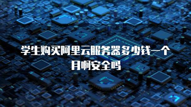 学生购买阿里云服务器多少钱一个月啊安全吗