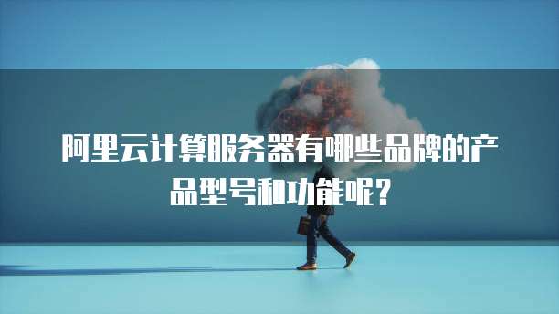 阿里云计算服务器有哪些品牌的产品型号和功能呢?