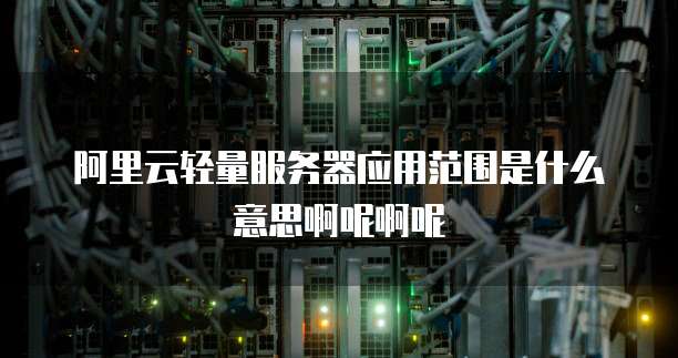 阿里云轻量服务器应用范围是什么意思啊呢啊呢