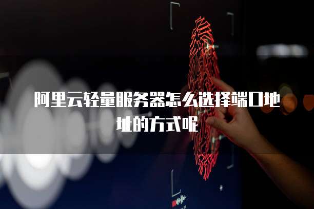 阿里云轻量服务器怎么选择端口地址的方式呢