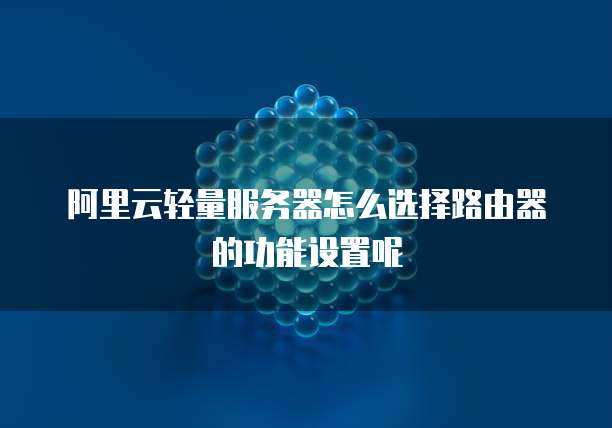 阿里云轻量服务器怎么选择路由器的功能设置呢