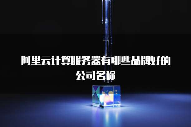 阿里云计算服务器有哪些品牌好的公司名称
