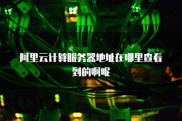 阿里云计算服务器地址在哪里查看到的啊呢