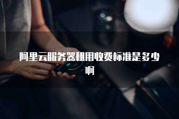 阿里云服务器租用收费标准是多少啊