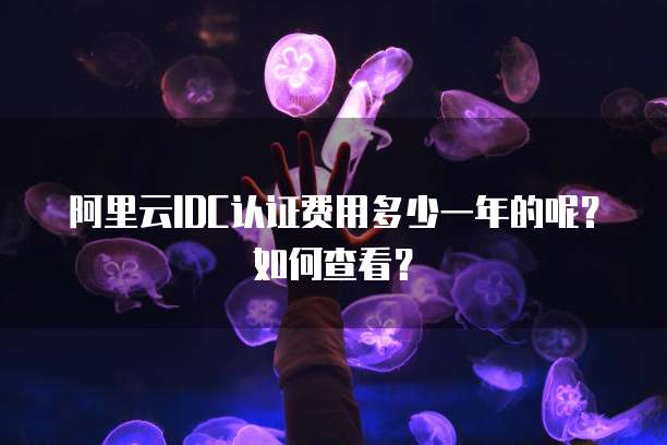 阿里云IDC认证费用多少一年的呢?如何查看?