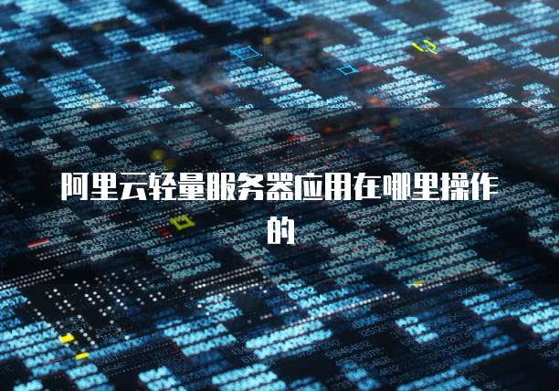 阿里云轻量服务器应用在哪里操作的