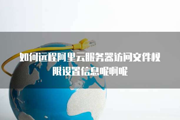 如何远程阿里云服务器访问文件权限设置信息呢啊呢