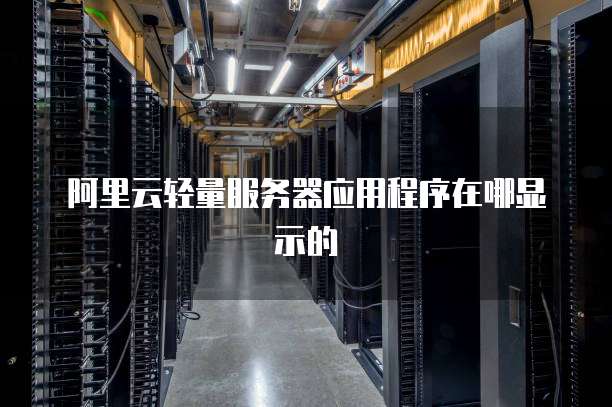 阿里云轻量服务器应用程序在哪显示的
