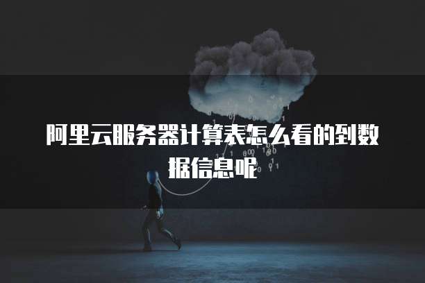 阿里云服务器计算表怎么看的到数据信息呢