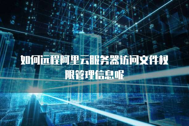 如何远程阿里云服务器访问文件权限管理信息呢