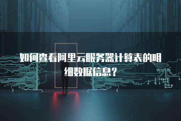 如何查看阿里云服务器计算表的明细数据信息?