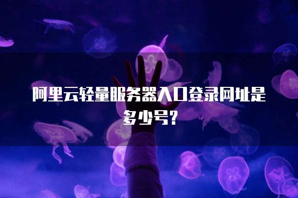 阿里云轻量服务器入口登录网址是多少号?