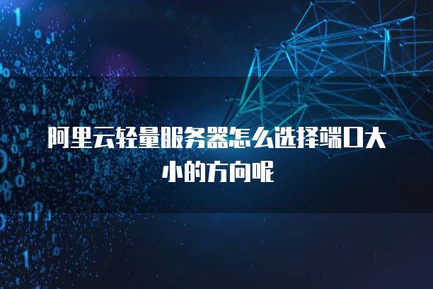 阿里云轻量服务器怎么选择端口大小的方向呢
