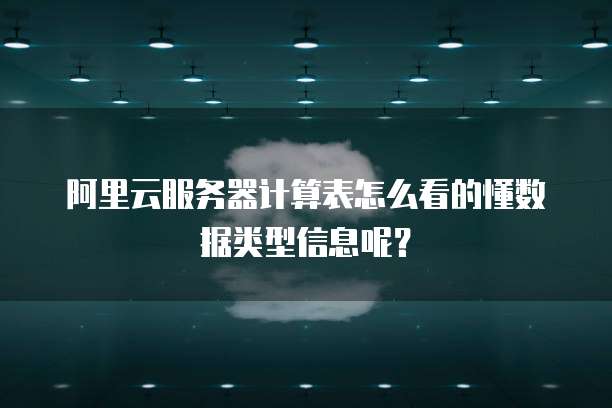 阿里云服务器计算表怎么看的懂数据类型信息呢?