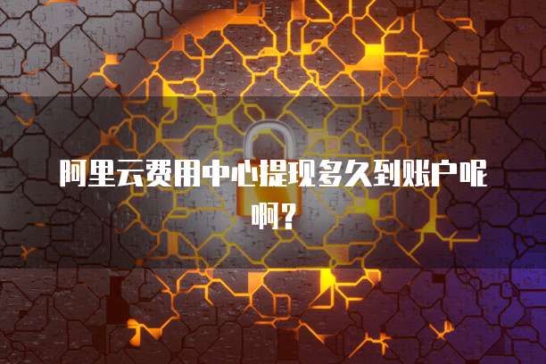 阿里云费用中心提现多久到账户呢啊?
