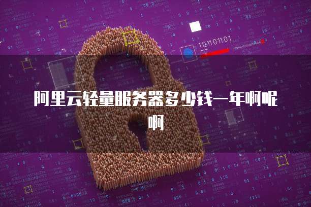 阿里云轻量服务器多少钱一年啊呢啊