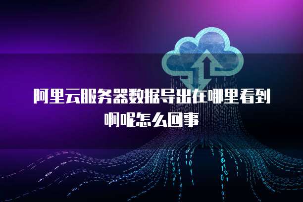 阿里云服务器数据导出在哪里看到啊呢怎么回事