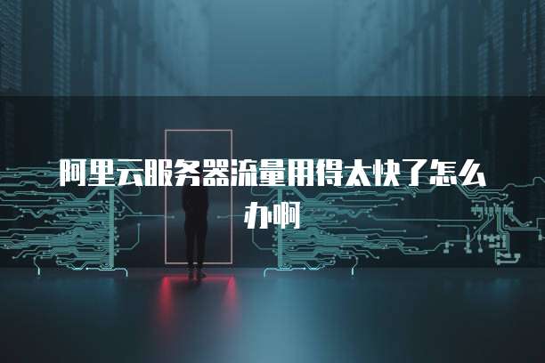 阿里云域名高价赎回期如何查看和利用?