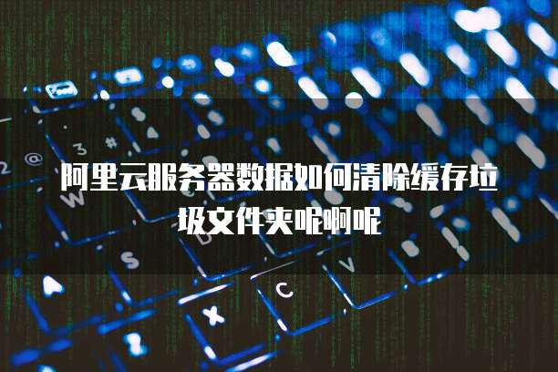 阿里云服务器数据如何清除缓存垃圾文件夹呢啊呢