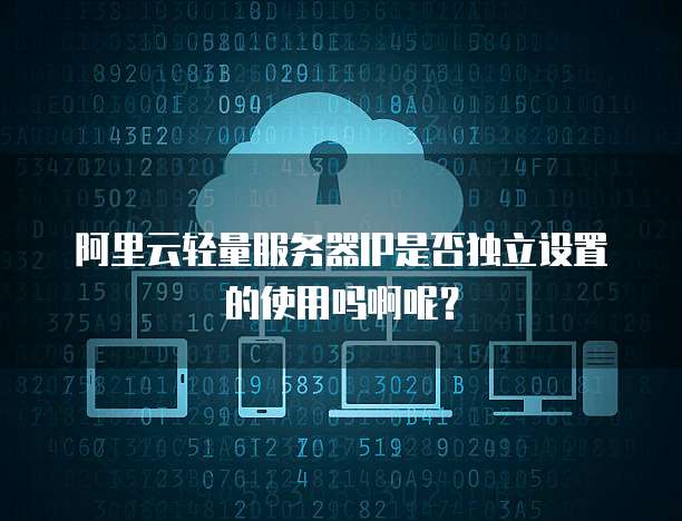 阿里云轻量服务器IP是否独立设置的使用吗啊呢?
