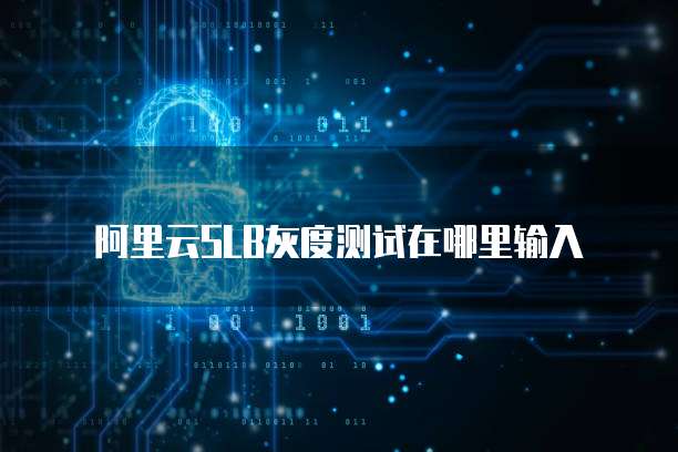 阿里云SLB灰度测试在哪里输入
