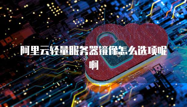 阿里云轻量服务器镜像怎么选项呢啊