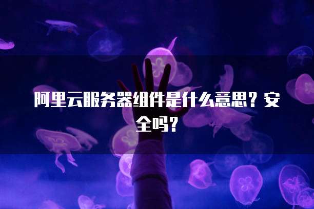 阿里云服务器组件是什么意思?安全吗?