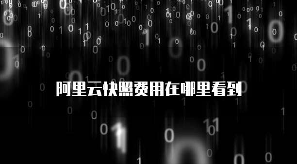 阿里云快照费用在哪里看到