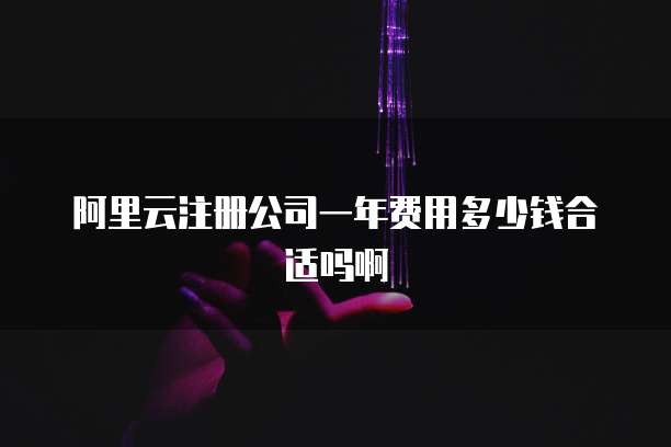 阿里云注册公司一年费用多少钱合适吗啊