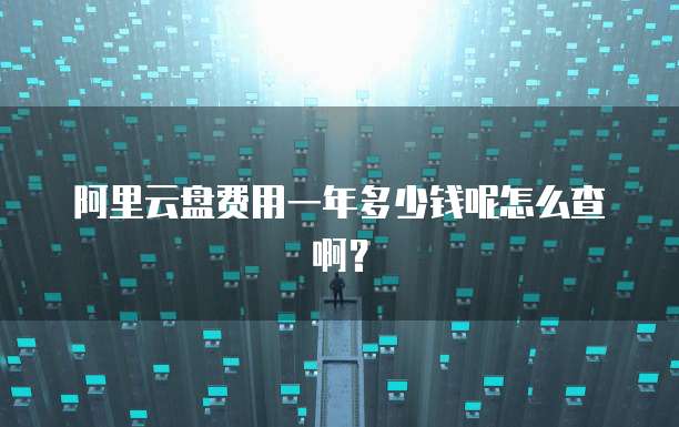 阿里云盘费用一年多少钱呢怎么查啊?