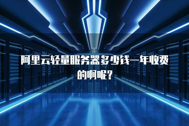 阿里云轻量服务器多少钱一年收费的啊呢?