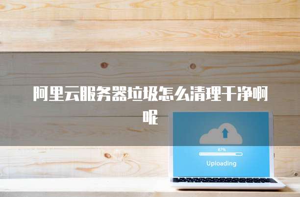 阿里云服务器垃圾怎么清理干净啊呢