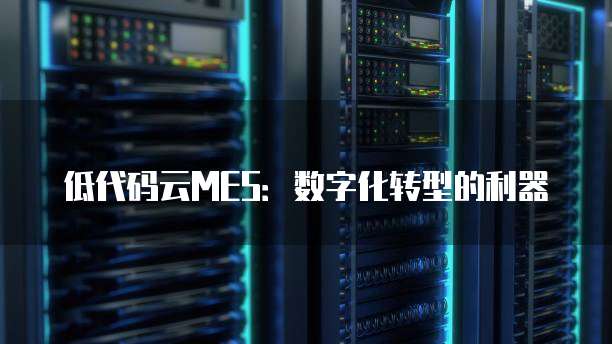 阿里云租一个服务器费用高吗？