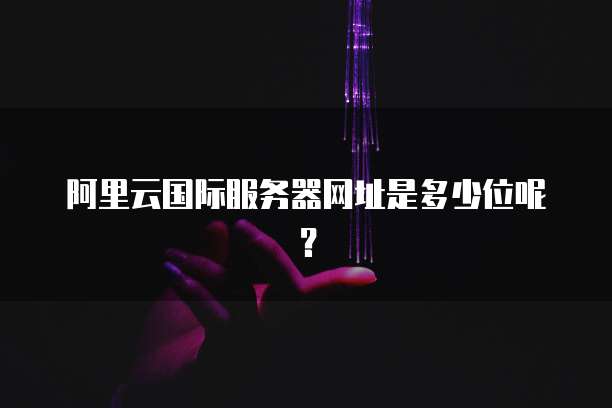 阿里云国际服务器网址是多少位呢?