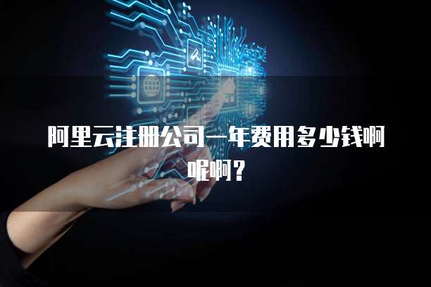 阿里云注册公司一年费用多少钱啊呢啊?