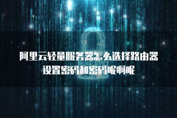 阿里云轻量服务器怎么选择路由器设置密码和密码呢啊呢