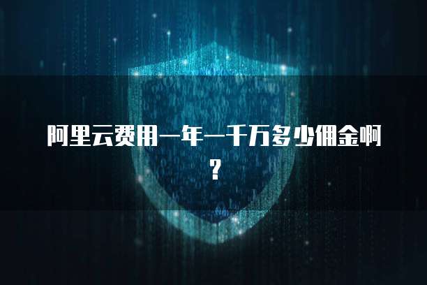 阿里云费用一年一千万多少佣金啊?