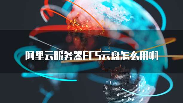 阿里云服务器如何使用U盘启动？