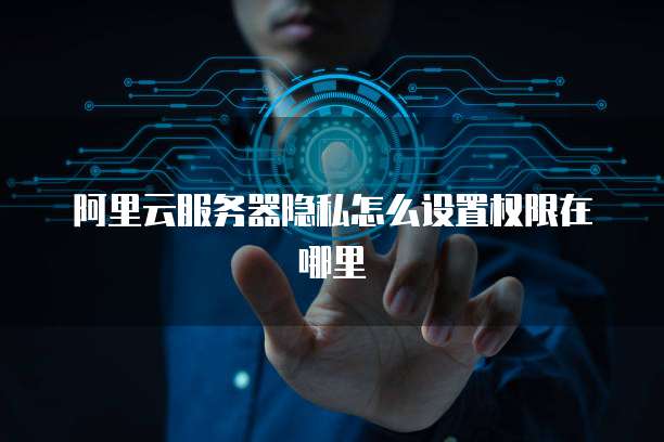 阿里云服务器隐私怎么设置权限在哪里
