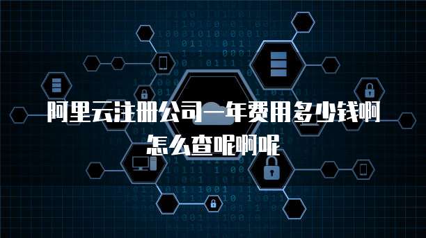 阿里云注册公司一年费用多少钱啊怎么查呢啊呢