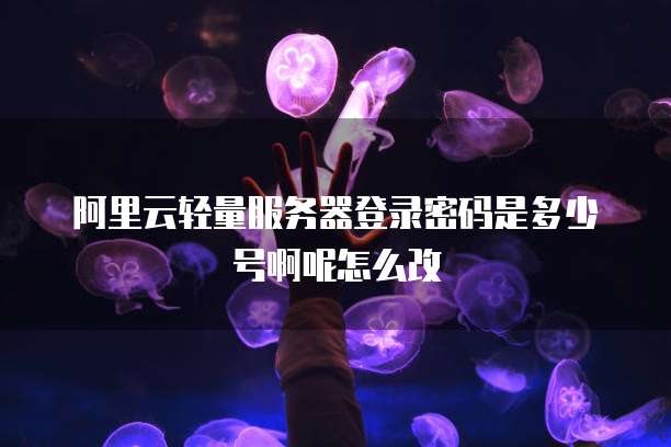 阿里云轻量服务器登录密码是多少号啊呢怎么改