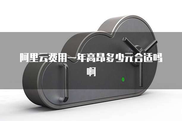 阿里云费用一年高昂多少元合适吗啊