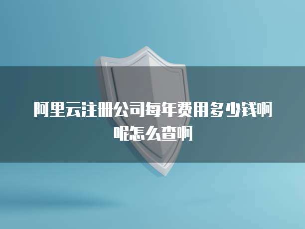 阿里云注册公司每年费用多少钱啊呢怎么查啊